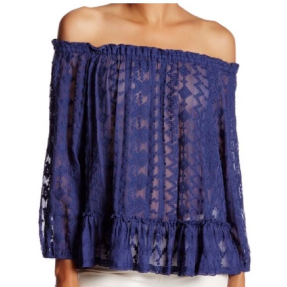 Rebecca Taylor Silk Sheer Embroidered Top Sz 8 Flounce Hem Boho Fairy Romantic - Picture 1 of 13